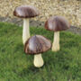Set Of Three Coconut Wooden Mushrooms, thumbnail 1 of 3