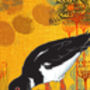 Oyster Catcher Greetings Card, thumbnail 2 of 2