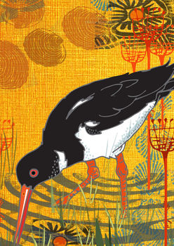 Oyster Catcher Greetings Card, 2 of 2