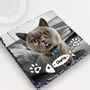 Personalised Cat Photo Slate Gift With Professional Photo Editing For Cat Mums And Dads, thumbnail 2 of 6