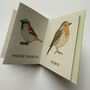 Tiny Book Of Garden Birds Handmade Mini Nature Book, thumbnail 8 of 10
