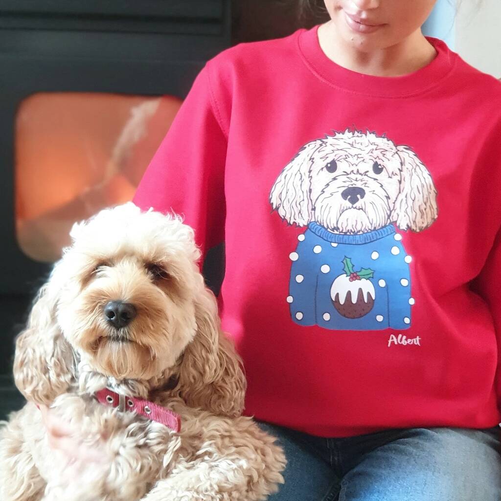 christmas pudding dog jumper