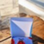 Ladybird Socks With Gift Box – Fun Gift One Size, thumbnail 7 of 7