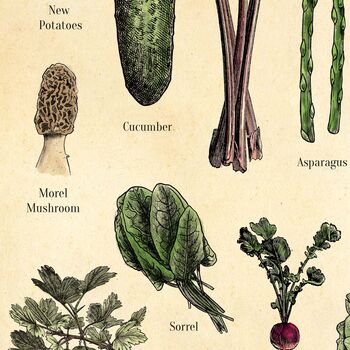 Seasonal Fruit And Vegetable Poster, UK Version, 3 of 6