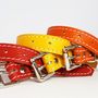 Soft Leather Small Dog Collar, thumbnail 4 of 8