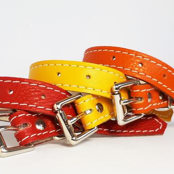 Soft Leather Small Dog Collar, 4 of 8