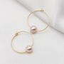 Pink Pearl Hoop Earrings Mia Hoops, thumbnail 2 of 2