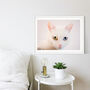Framed Cat Print Minimal White Cat Photograph, thumbnail 1 of 5