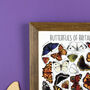 Butterflies Of Britain Wildlife Watercolour Print, thumbnail 7 of 7
