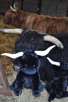 Personalised Black Longhorn 18cm Cow Soft Toy Brown, 4 of 11