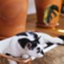 Solid Copper Cat And Dog Hammock, Minimalist Copper Pet Lounger, thumbnail 1 of 5