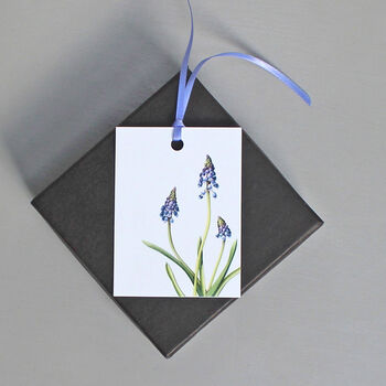 Gift Tags With Grape Hyacinth Illustrations, 3 of 4