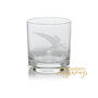 Personalised Pterodactyl Dinosaur Engraved Glass, thumbnail 3 of 5
