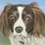 Hand Painted Personalised Pet Portrait, thumbnail 1 of 12