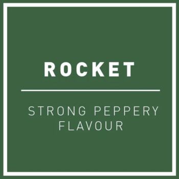 Rocket Hydro Herb Kit, 2 of 2