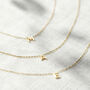 Petite 9ct Gold Initial Necklace, thumbnail 5 of 10