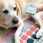Personalised Pet Treat Keepsake Tins, thumbnail 3 of 4