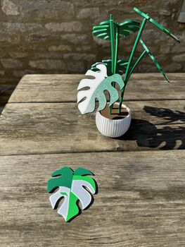 Monstera Variegata Plant With Six Leaf Coasters, 7 of 11