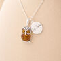 Personalised Sterling Silver Baltic Amber Owl Pendant Necklace, thumbnail 1 of 10