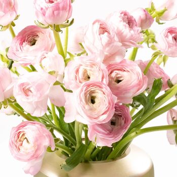 Ballet Slipper Pink Ranunculus Fresh Flower Bouquet, 2 of 3
