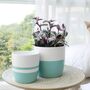 Pack Of Two Modern Minimalist Ceramic Plant Pot Indoor, thumbnail 1 of 4