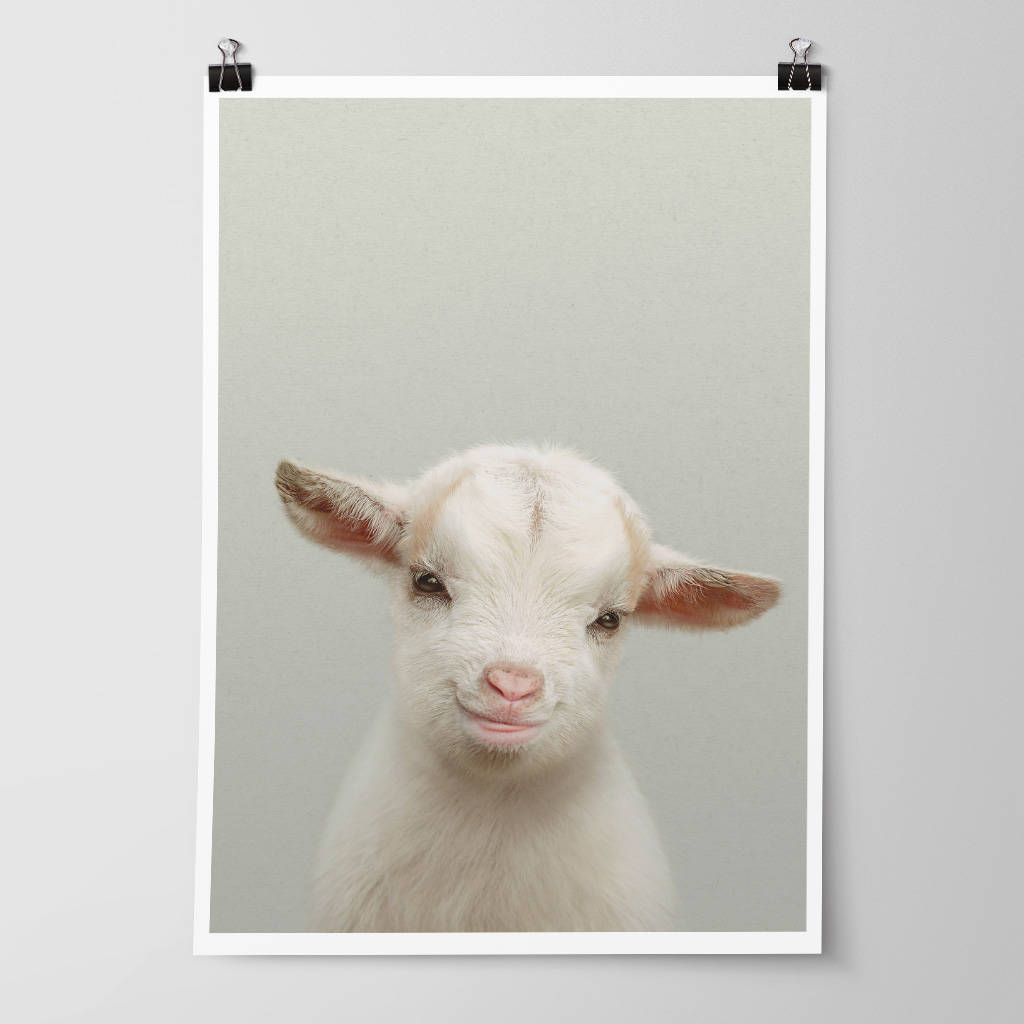 nursery decor baby goat kid animal print by strawberry valley