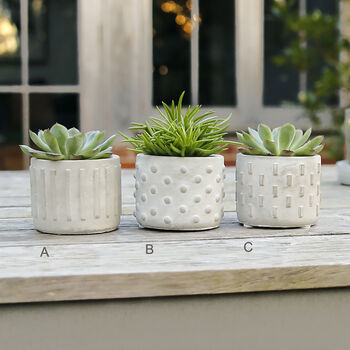 Mini Concrete Plant Pot, 3 of 3