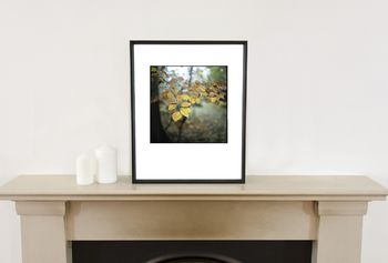 Winter Leaves, Suffolk Photographic Art Print, 2 of 4