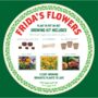 Frida's Flowers. Eco Grow Your Own Gardening Kit, thumbnail 7 of 8