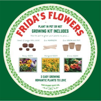 Frida's Flowers. Eco Grow Your Own Gardening Kit, 7 of 8