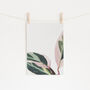 Pink Leaves Ii Photographic Plant Print, thumbnail 1 of 2