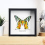 Madagascan Sunset Moth Handcrafted Frame Ventral Side, thumbnail 1 of 3