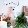 Piia The Polar Bear Soft Toy, thumbnail 2 of 5