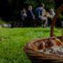 Foraging And Cookery Experience For Two People, thumbnail 2 of 3