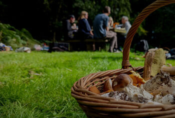 Foraging And Cookery Experience For Two People, 2 of 3