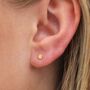 Tiny Gold Plated Sterling Silver Circle Disc Stud Earrings, thumbnail 2 of 3