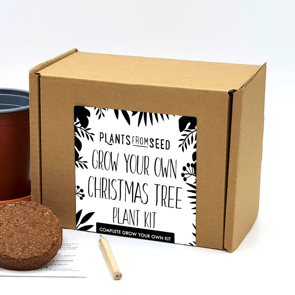 Complete Grow Your Own Christmas Tree Kit By Plants From Seed