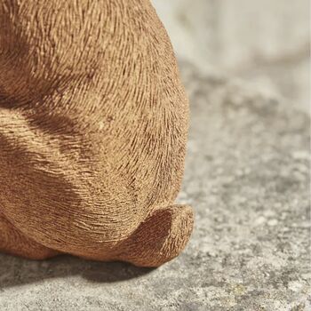 Rusty Hare, 4 of 5