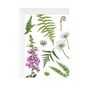 Botanical Foxglove And Ferns Botanical Card, thumbnail 2 of 2