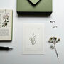 Hand Illustrated ‘Spring Flowers’ Notecard Set, thumbnail 1 of 8