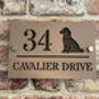 Personalised Spaniel Dog Design House Acrylic Number Sign, thumbnail 7 of 8