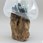 Handmade Molten Glass Decorative Bowl On Wooden Stand, thumbnail 6 of 6