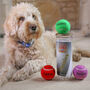 Personalised Dog Tennis Balls, thumbnail 1 of 12