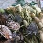 Preserved Eucalyptus And Dried Flower Christmas And Winter Wreath Kit, thumbnail 5 of 6