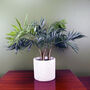 40cm Artificial Mini Tropical Palm In Planter, thumbnail 1 of 3