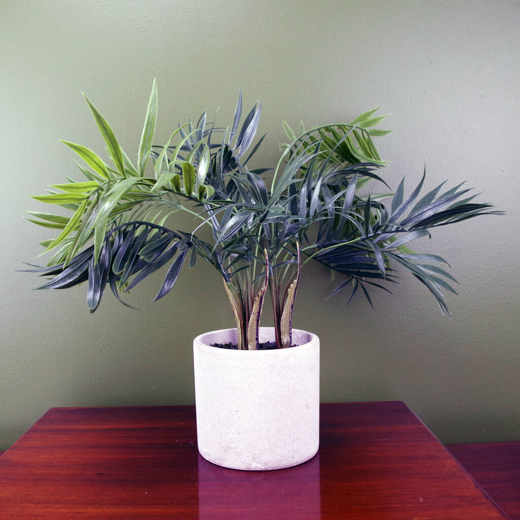 40cm Artificial Mini Tropical Palm In Planter, 1 of 3