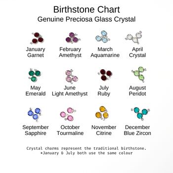 Birthstone Charm Bracelet Sterling Silver Family Jewellery, 6 of 6