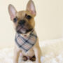 Barkberry Plaid Dog Celebration Bandana, thumbnail 2 of 4