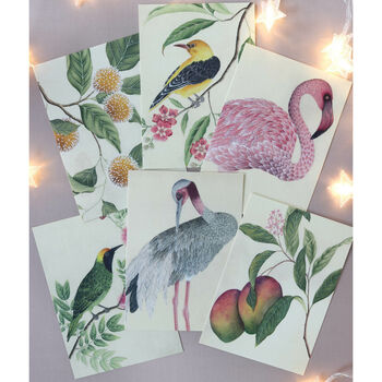 Botanical Chinoiserie Vintage Style Art Cards By Diane Hill Design
