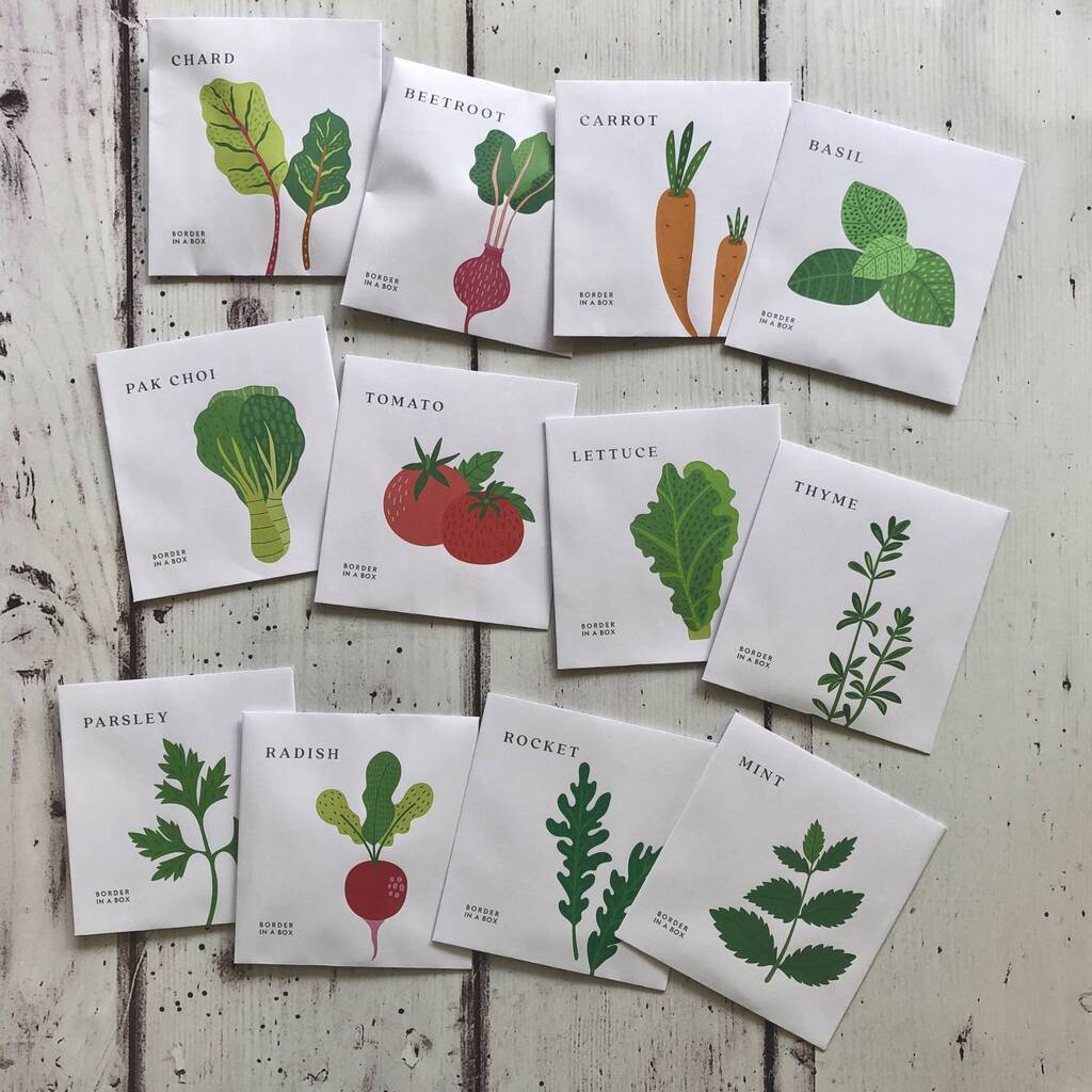 Advent Calendar Seeds For Gardeners By Border in a Box